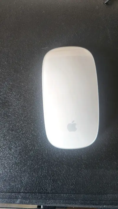 Mouse inalámbrico Apple Magic Mouse - miniatura 1