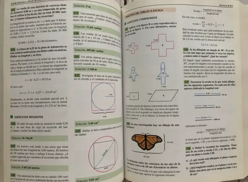 Libro El Mentor de Matemáticas con CD-ROM - 5