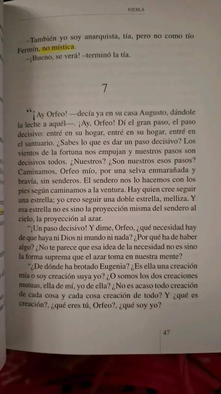 Libro Niebla de Miguel de Unamuno - 2