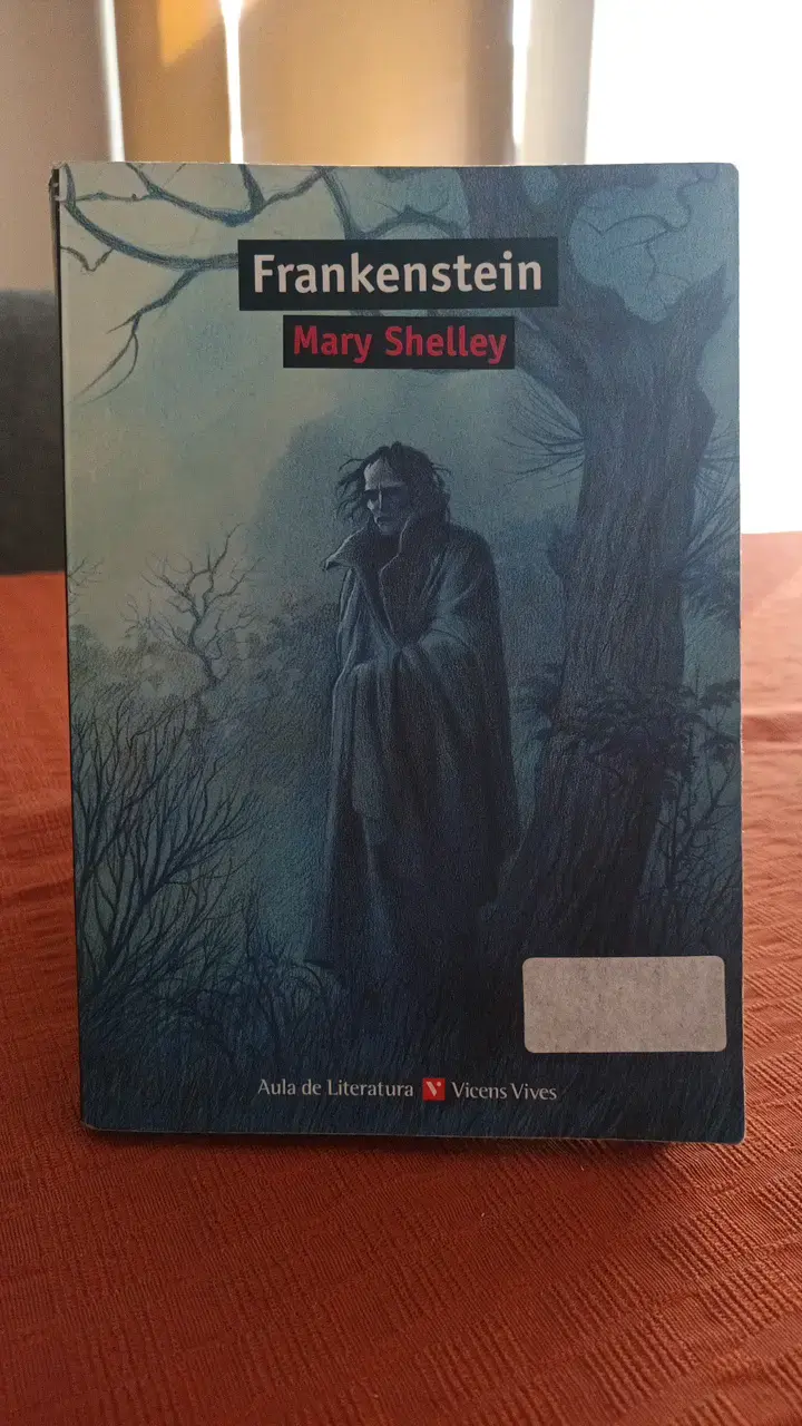 Libro Frankenstein de Mary Shelley - Vicens Vives - 1