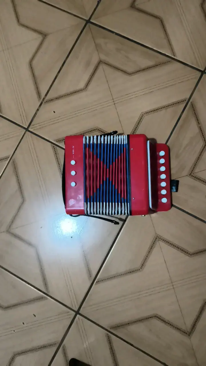 Acordeón infantil rojo y azul