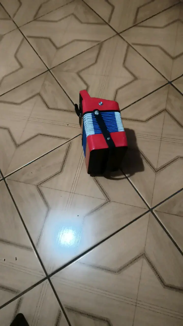 Acordeón infantil rojo y azul - 4