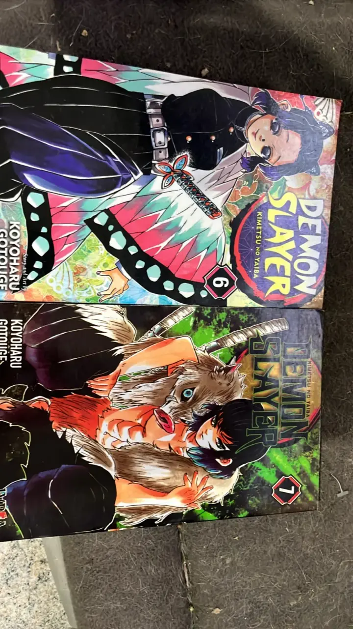 Mangas Demon Slayer Tomos 6 y 7 en buen estado