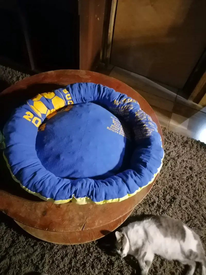 Cama redonda para mascotas - 2