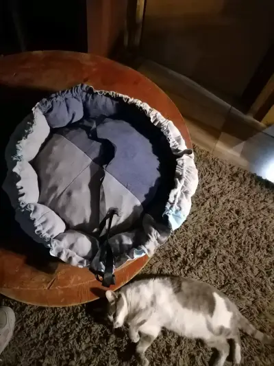 Cama redonda para mascotas - miniatura 1
