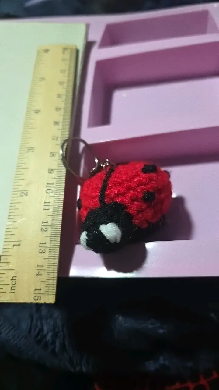 Llavero de mariquita tejido a crochet