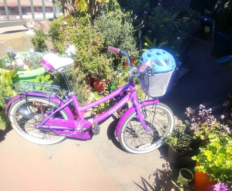 Bicicleta Oxford Cyclotour Morada con Canasto Niña - 2
