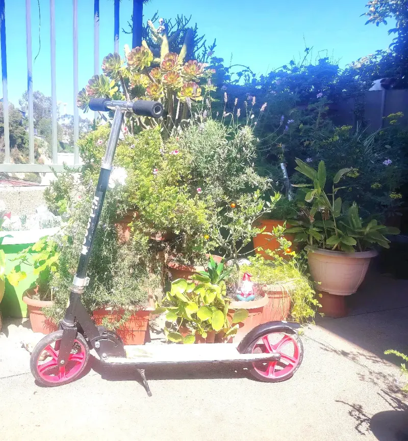 Scooter plegable con 2 ruedas