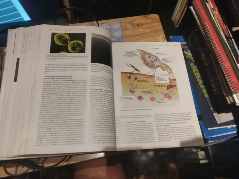 Libro Biología La Vida en la Tierra Octava Edición - 5