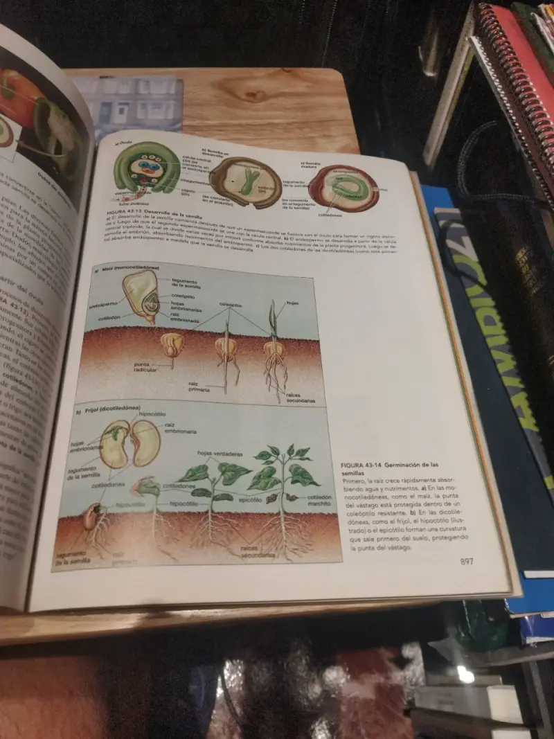 Libro Biología La Vida en la Tierra Octava Edición - 6