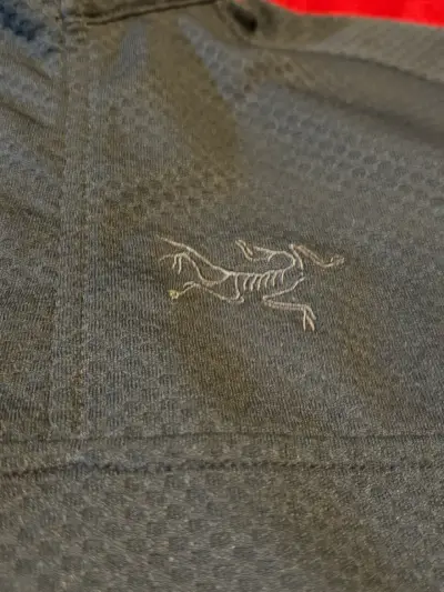 Polerón Arc'teryx gris con cierre medio M - miniatura 2