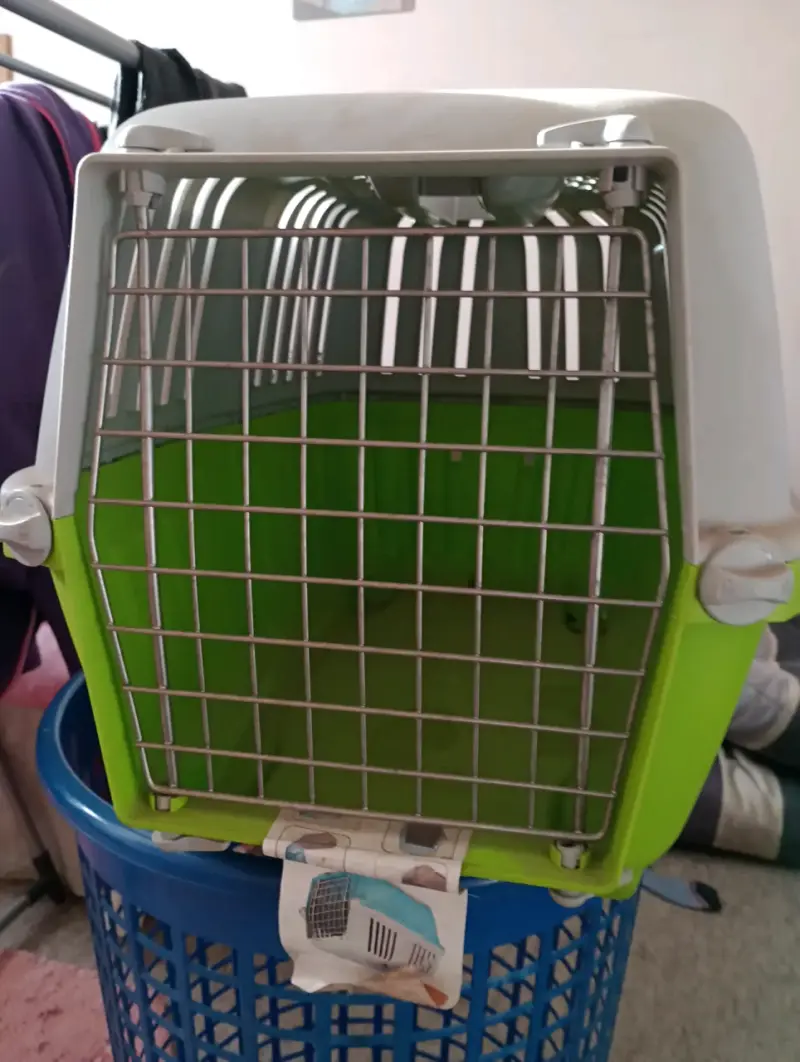 Transportadora de mascotas verde y blanca - 1
