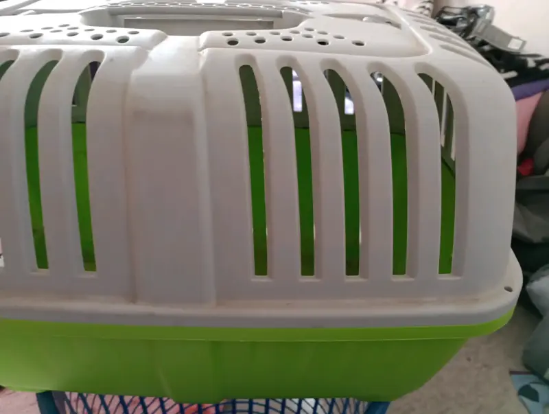 Transportadora de mascotas verde y blanca - 2