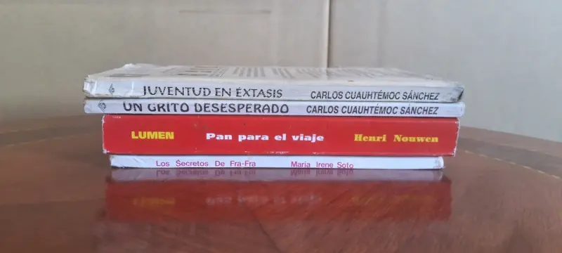 Lote de libros variados de diferentes autores - 5