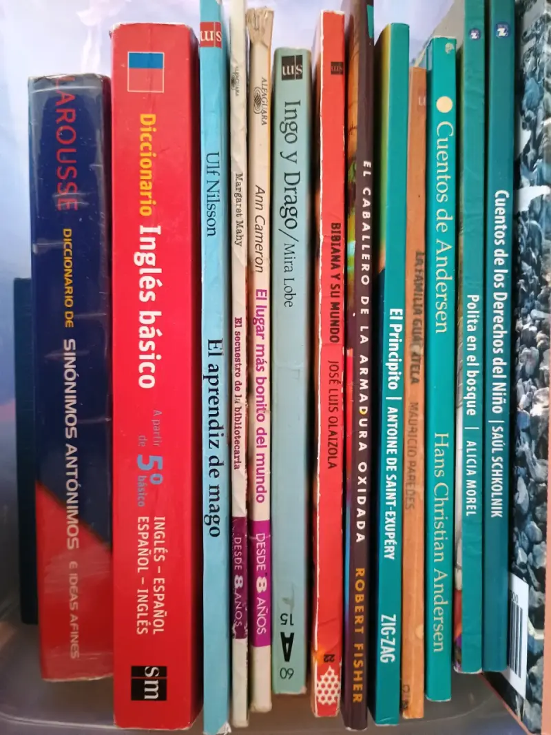 Colección de libros infantiles y juveniles variados - 1