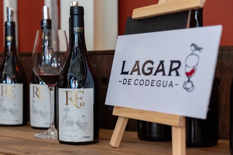 RF10 x4 Vino Cabernet Franc - 3