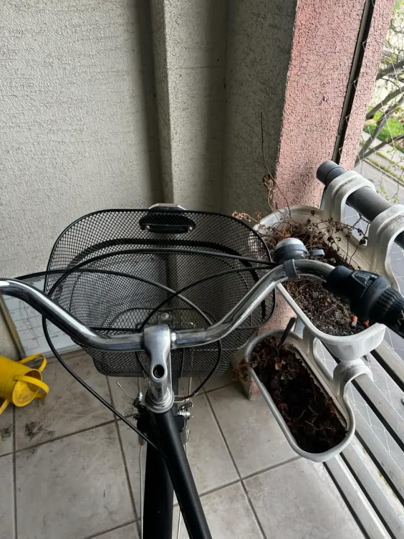 Bicicleta urbana Oxford con canasto - 5