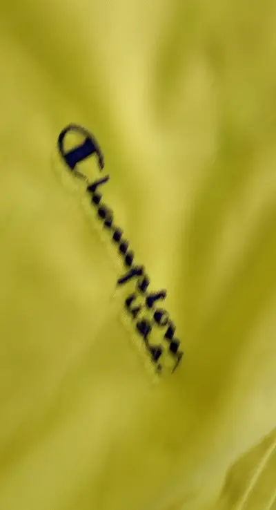 Chaqueta deportiva amarilla Champion con cierre - miniatura 4