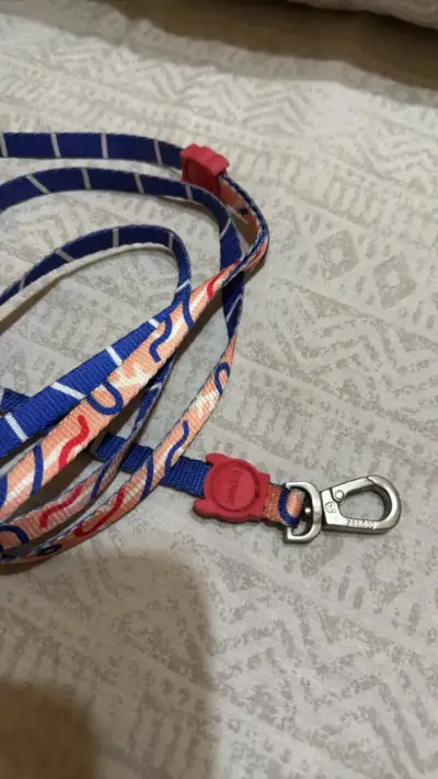 Correa para mascota - miniatura 2