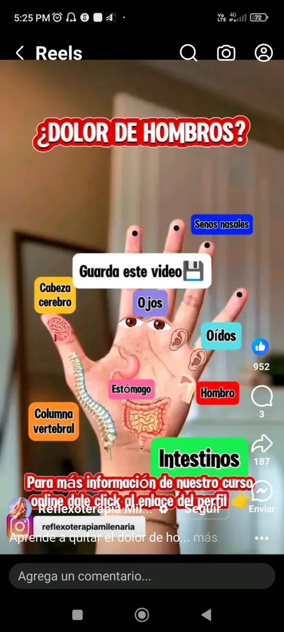 Kinesiólogo y Quiropráctico a Domicilio - 3