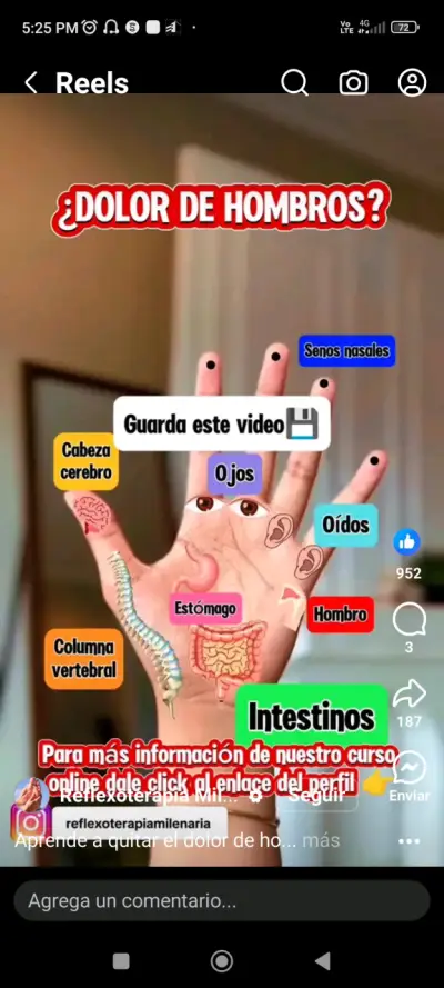 Kinesiólogo y Quiropráctico a Domicilio - miniatura 3