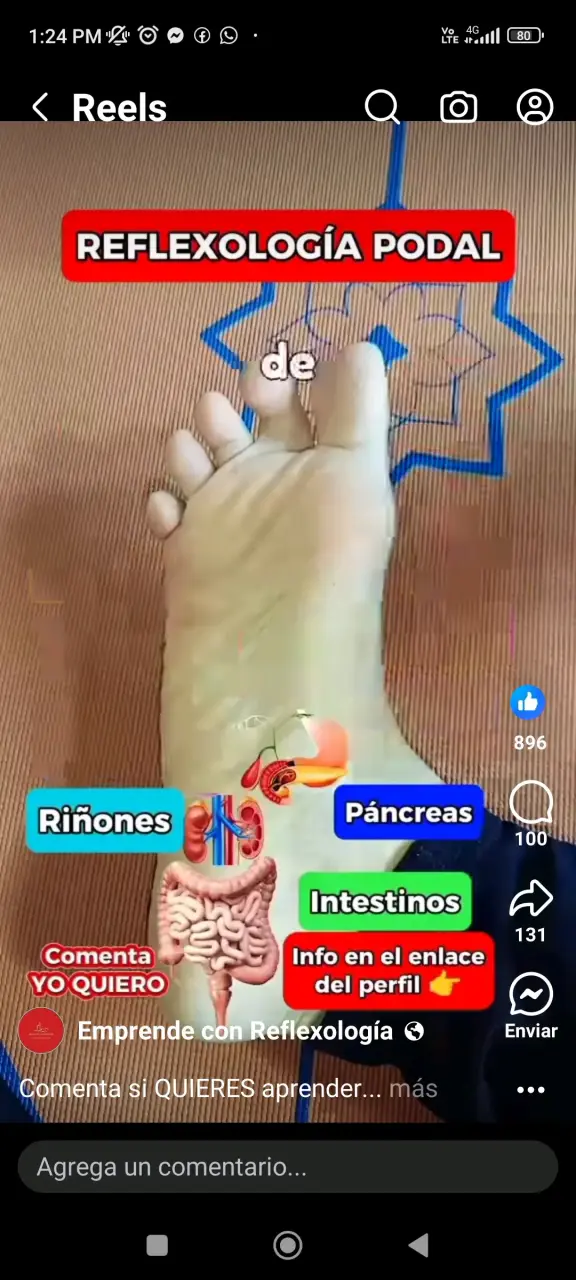 Kinesiólogo y Quiropráctico a Domicilio - 4