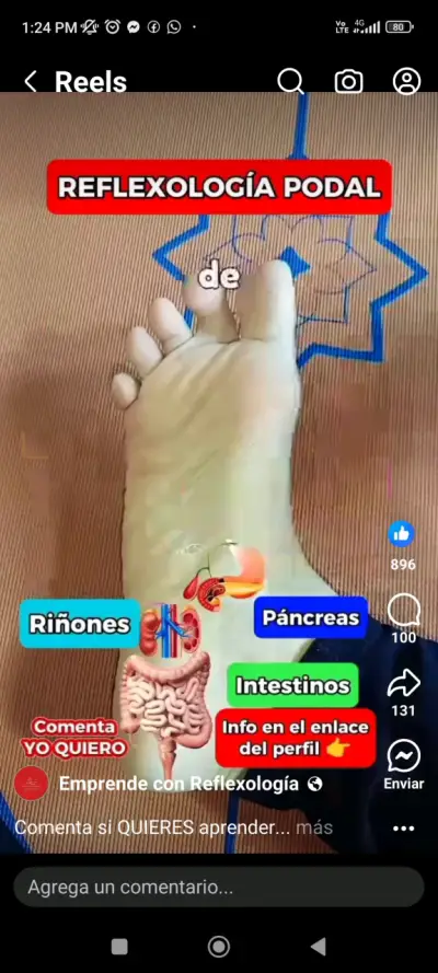Kinesiólogo y Quiropráctico a Domicilio - miniatura 4
