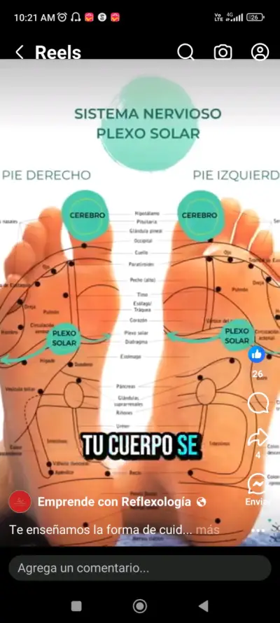 Kinesiólogo y Quiropráctico a Domicilio - miniatura 6