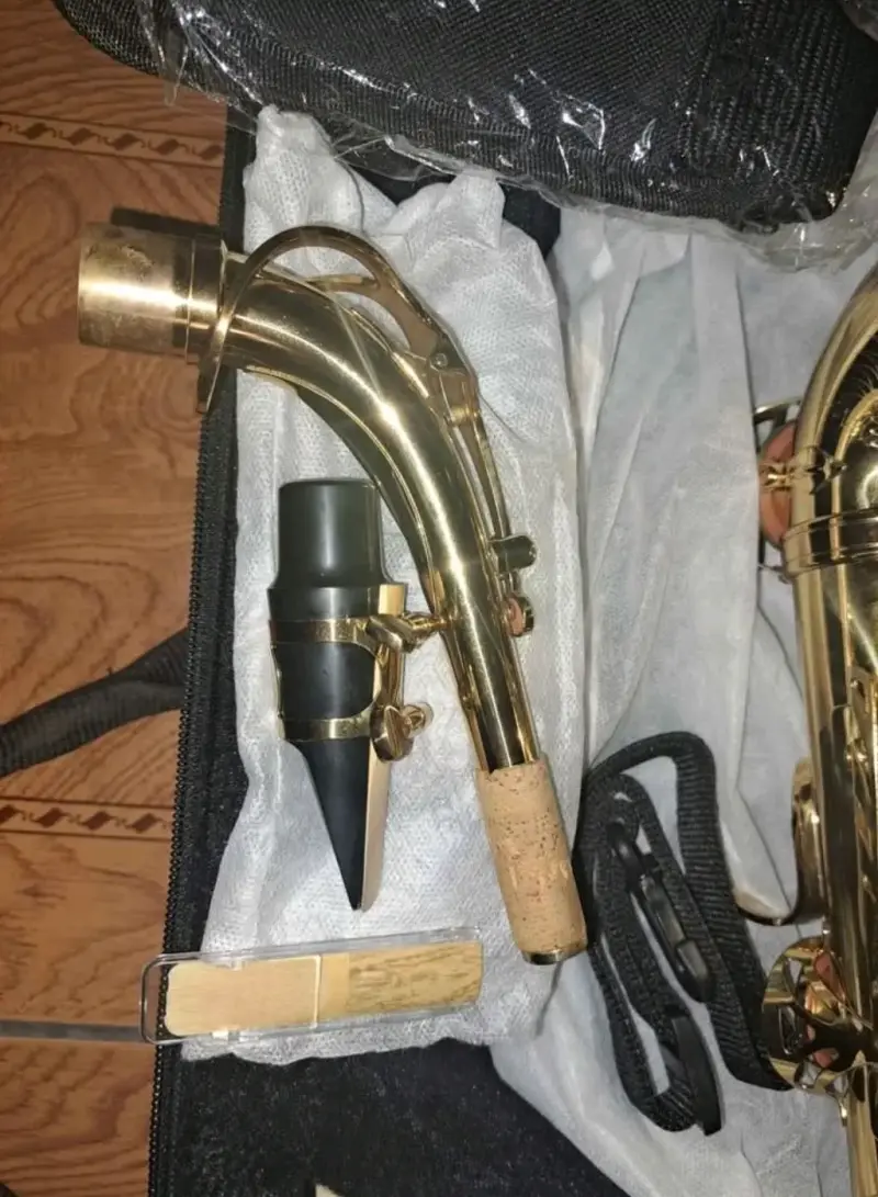 Saxofón Alto Stinger con Estuche y Accesorios - 3