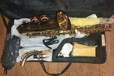 Saxofón Alto Stinger con Estuche y Accesorios - miniatura 4