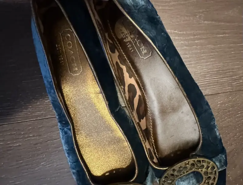 Bailarinas de terciopelo azul con detalle dorado Coach - 3