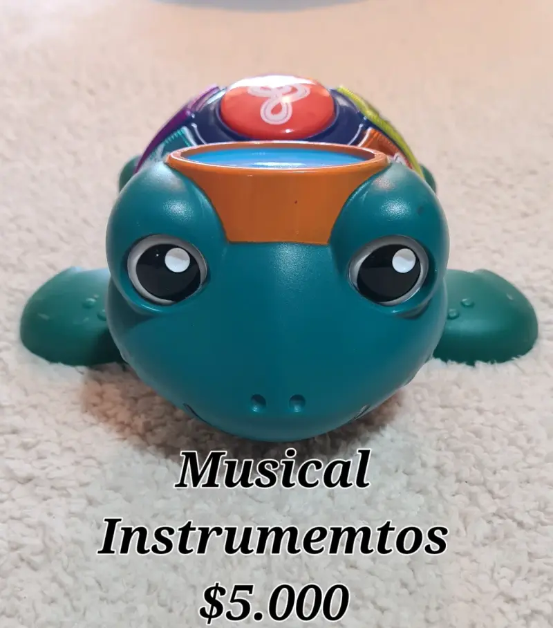 Tortuga Musical Infantil Interactiva - 2