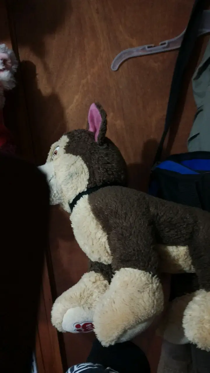 Peluche de paws Patrol Build-A-Bear marrón - 2