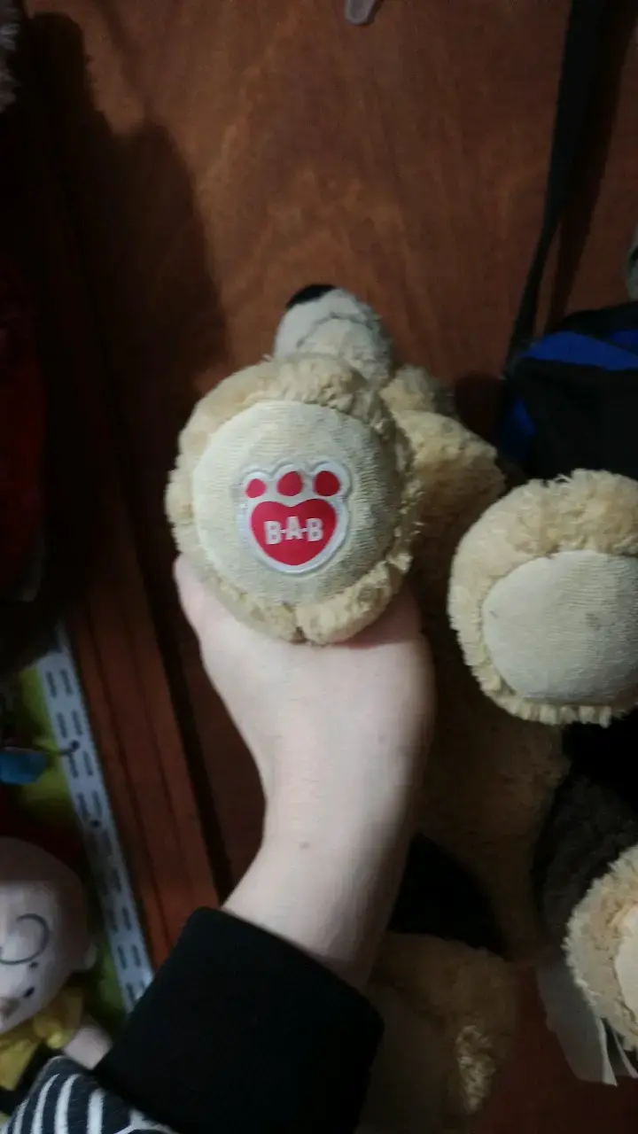 Peluche de paws Patrol Build-A-Bear marrón - 3
