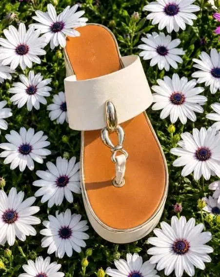 Chalas Aldo 100% original - 1