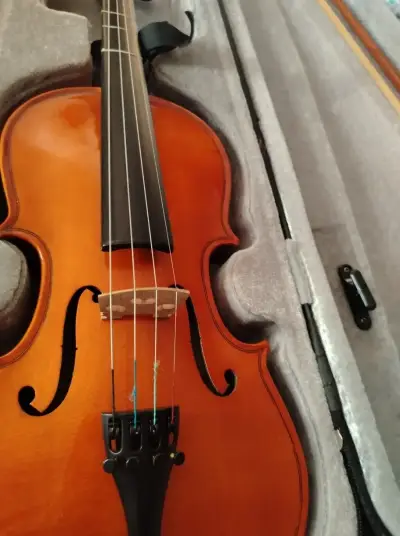 Violín ETINGER 3/4 Modelo MA-210/34 estuche y arco - miniatura 1