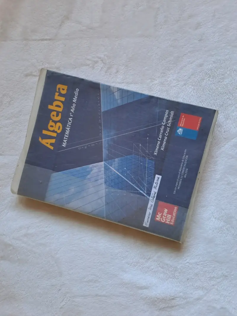 Libro Álgebra Matemática 1° Año Medio McGraw Hill - 1