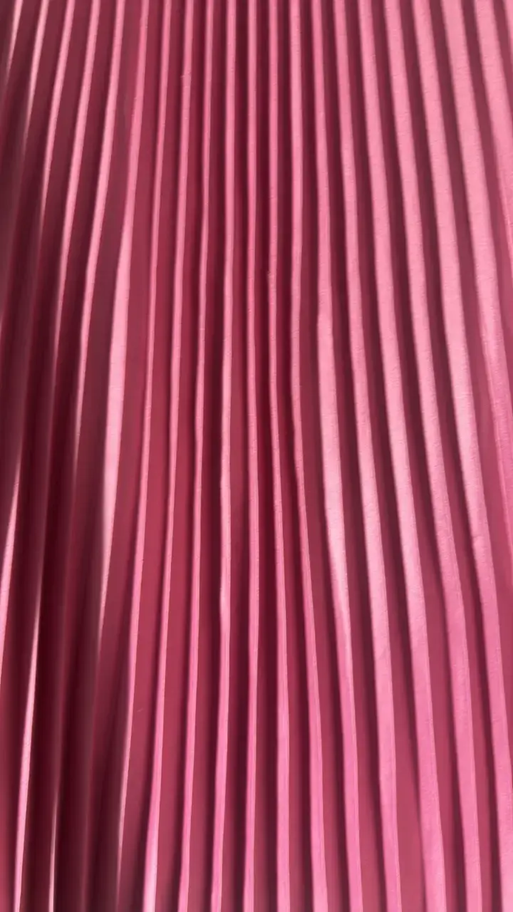 Falda plisada rosa elegante - 2