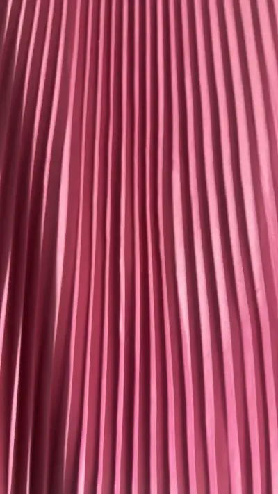Falda plisada rosa elegante - miniatura 2