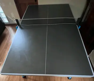 Mesa de Ping Pong Plegable con Ruedas - miniatura 1