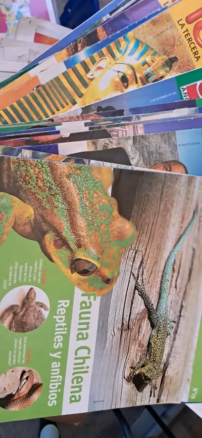 Lote de Icaritos,Papelucho y Apuntes - miniatura 1