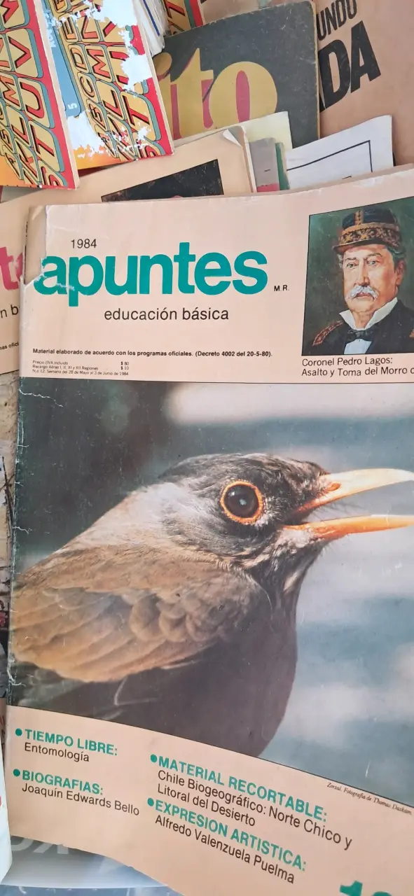 Lote de Icaritos,Papelucho y Apuntes - 5