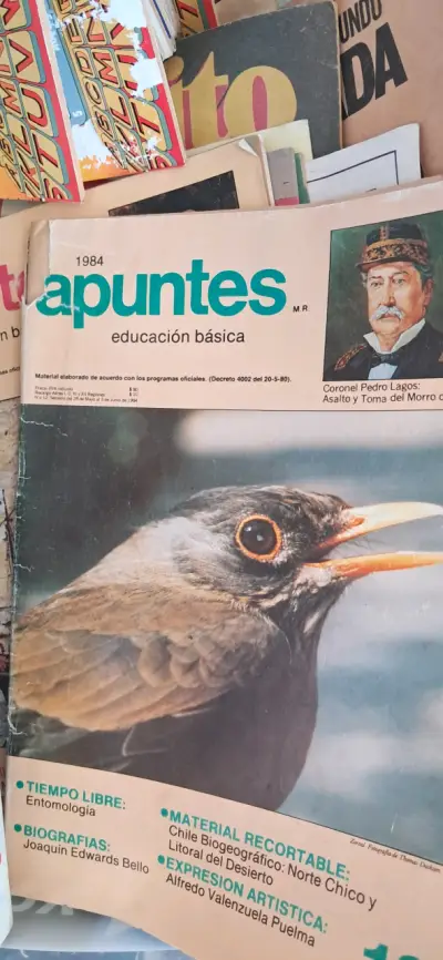 Lote de Icaritos,Papelucho y Apuntes - miniatura 5