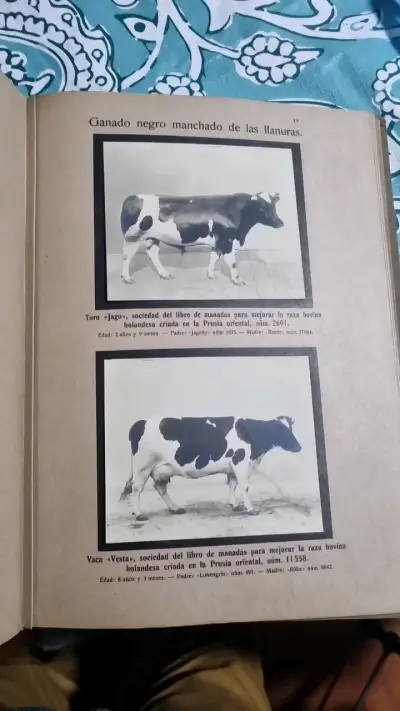 Libro antiguo 'Razas Alemanas de Animales' 1913 - miniatura 6