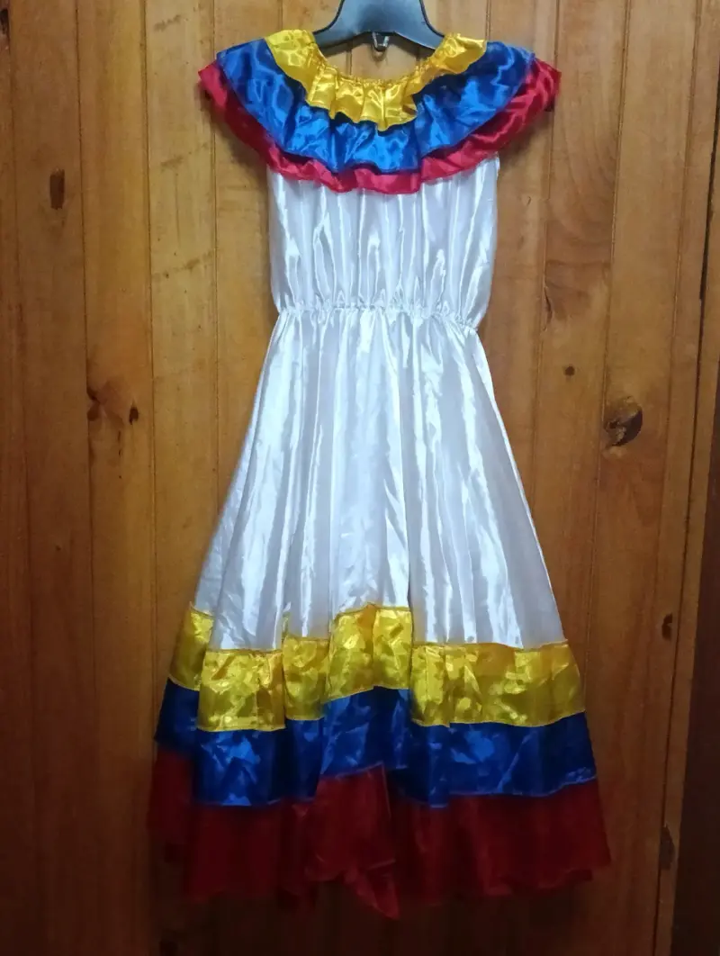 Vestido típico folclore - 2