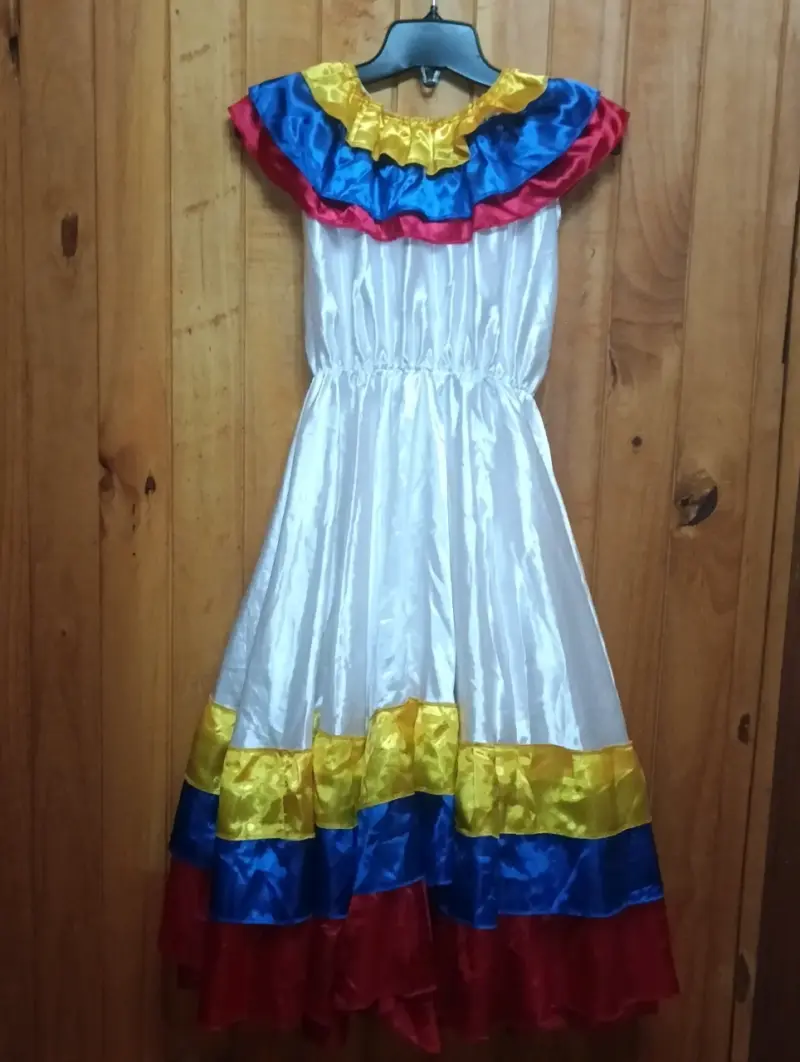 Vestido típico folclore - 3