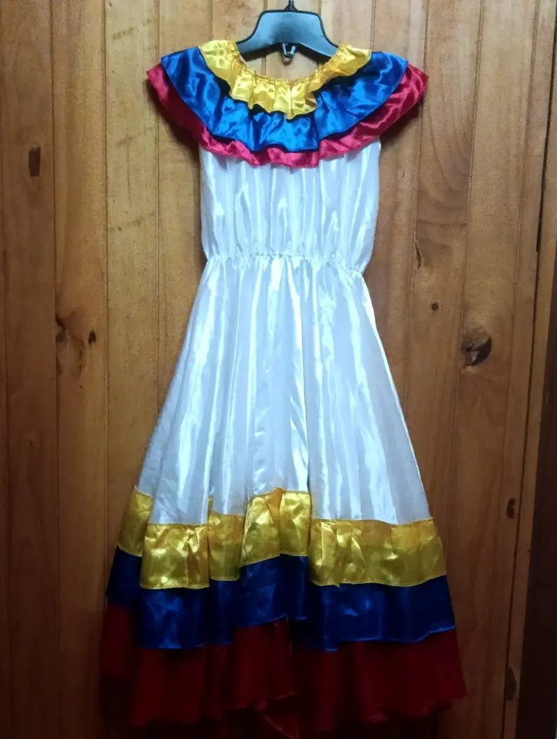 Vestido típico folclore - 4