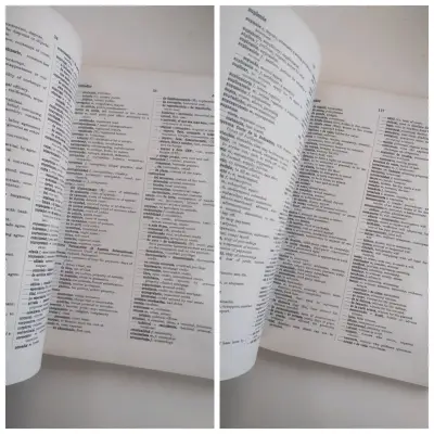 Diccionario de Términos Legales Español-Inglés - miniatura 2