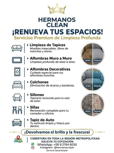 Limpieza de tapices a domicilio - miniatura 1