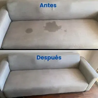 Limpieza de tapices a domicilio - 5
